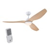 WESTINGHOUSE 73161 MAGNOLIA