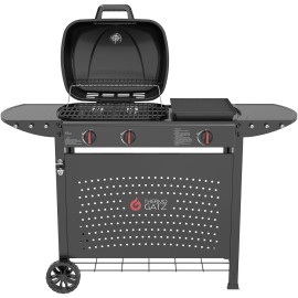 THERMOGATZ GS GRILL 2 + PLANCHA
