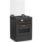 THERMOGATZ TGS 4310 ANTH